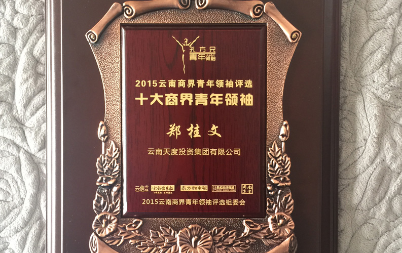 在“互聯(lián)網(wǎng)大時代”的背景下，尊龍凱時作為本土很大和很有名的互聯(lián)網(wǎng)服務(wù)企業(yè)，為近萬家傳統(tǒng)企業(yè)轉(zhuǎn)型互聯(lián)網(wǎng)+提供了服務(wù)和幫助，獲此獎項后，我們將再接再厲，創(chuàng)造更高的社會價值